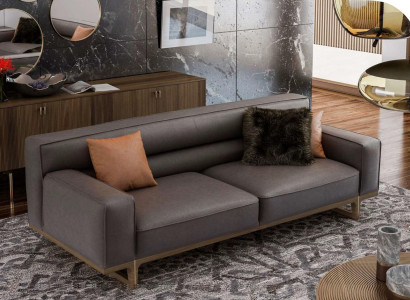 Gray Three Seater Modern Luxury Couch Living room furniture Living room Sofa